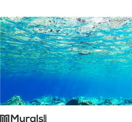 Underwater background of Aegean Sea Wall Mural Wall art Wall decor