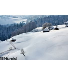 Winter Landscape in Romania Wall Mural