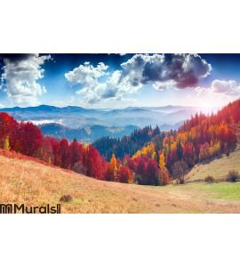 Colorful autumn landscape in the mountain village. Foggy morning Wall Mural
