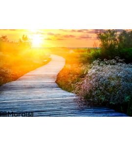 Wooden path at sunset Wall Mural