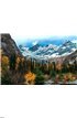 Witness the beauty of nature Wall Mural Wall art Wall decor