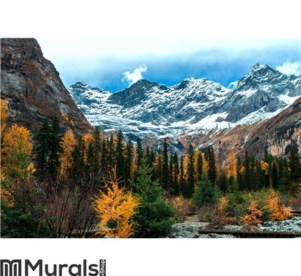 Witness the beauty of nature Wall Mural Wall art Wall decor