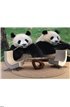 Two lovely pandas eating bamboo Wall Mural Wall Tapestry tapestries