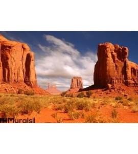 Framed Landscape Image of Monument Valley Wall Mural