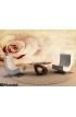 Grungy rose background Wall Mural Wall Tapestry tapestries
