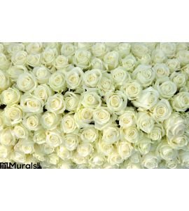 Group White Roses Wedding Decorations Wall Mural