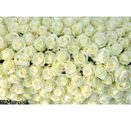 Group White Roses Wedding Decorations Wall Mural Wall art Wall decor
