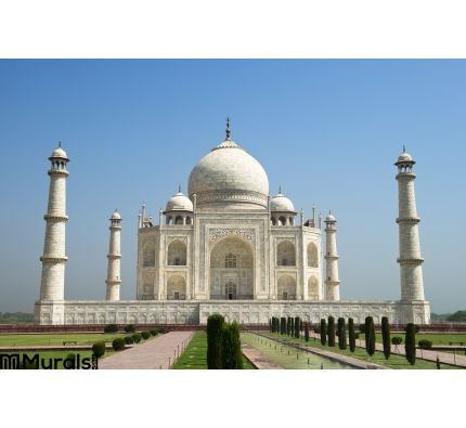 Taj Mahal Blue Sky Travel To Agra India Wall Mural Wall art Wall decor