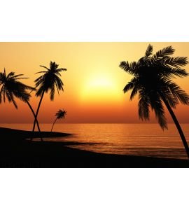 Tropical Sunset Palms Silhouette Wall Mural