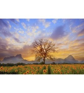 Beautiful Landscape Dry Tree Branch Sun Flowers Field Against Colorful Evening Dusky Sky Use As Natural Background BacWall Mural
