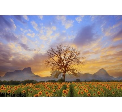 Beautiful Landscape Dry Tree Branch Sun Flowers Field Against Colorful Evening Dusky Sky Use As Natural Background BacWall Mural