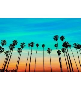 California Sunset Palm Tree Rows Santa Barbara Wall Mural