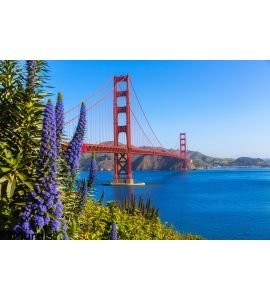 Golden Gate Bridge San Francisco Purple Flowers California Wall Mural
