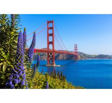 Golden Gate Bridge San Francisco Purple Flowers California Wall Mural Wall Tapestry tapestries