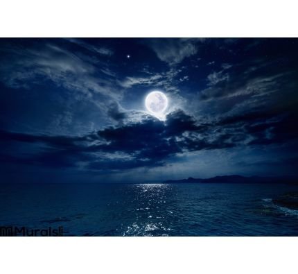 Full moon over sea Wall Mural Wall Tapestry tapestries