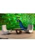 Peacock Wall Mural Wall art Wall decor