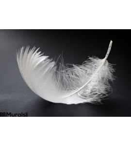 White Feather Wall Mural