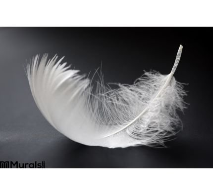 White Feather Wall Mural Wall Tapestry tapestries