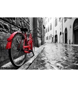 Retro Vintage Red Bike Cobblestone Street Old Town Color Black White Wall Mural