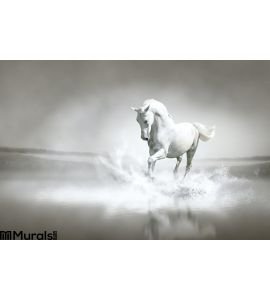 White Horse Running Water Wall Mural
