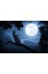 Owl Watches Intently Illuminated Full Moon Wall Mural Wall Tapestry tapestries