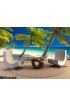 Deserted Beach Coconut Palm Trees Fiji Wall Mural Wall art Wall decor