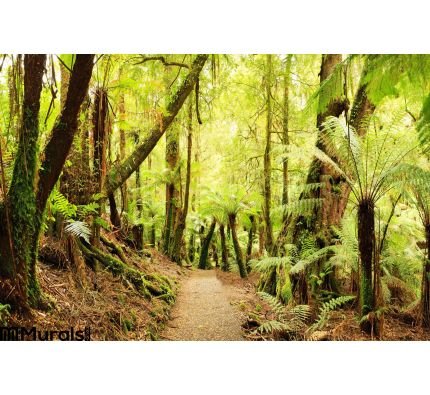 Rainforest Panorama Wall Mural Wall Tapestry tapestries
