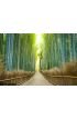 Kyoto, Japan Bamboo Forest Wall Mural Wall Tapestry tapestries