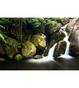Rainforest Waterfall Wall Mural Wall Tapestry tapestries
