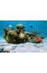 Corals in the caribbean sea Wall Mural Wall Tapestry tapestries
