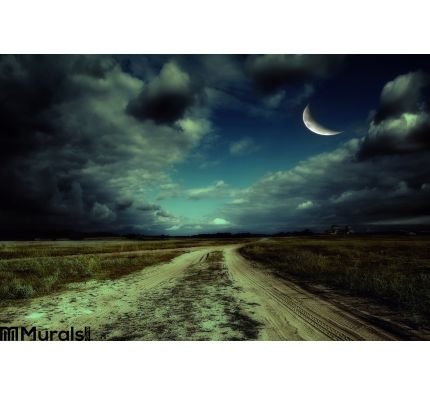 Road Night Wall Mural Wall Tapestry tapestries