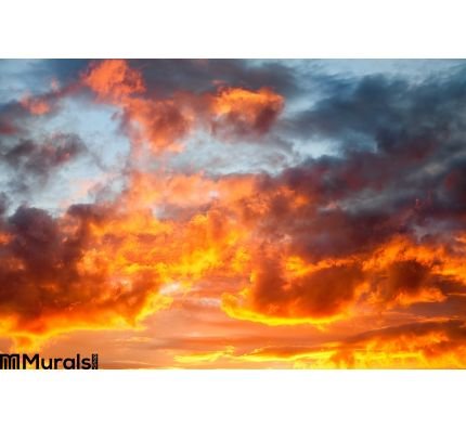 Fire Sky Wall Mural Wall Tapestry tapestries