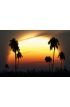 Tropical Twilight Sun Highlights Palm Silhouettes Wall Mural Wall Tapestry tapestries