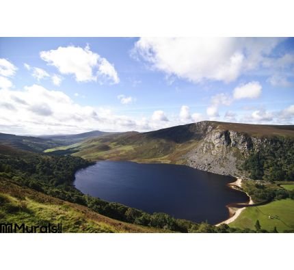 Lake Guinness Ireland Wall Mural Wall Tapestry tapestries