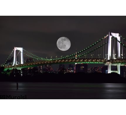 Full Moon over Tokyo, Japan Wall Mural Wall Tapestry tapestries