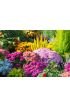 Flowers Garden Wall Mural Wall Tapestry tapestries
