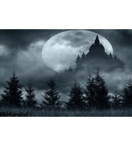 Magic Castle Silhouette Over Full Moon Mysterious Night Wall Mural