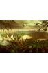Steamy Jungle Faraway Planet Wall Mural Wall Tapestry tapestries