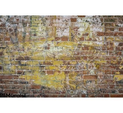 Graffiti Brick Wall Wall Mural Wall Tapestry tapestries