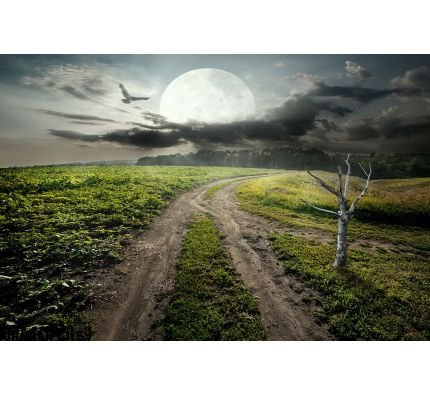Dry tree and moon Wall Mural Wall Tapestry tapestries