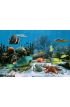 Coral Reef Starfish Wall Mural Wall Tapestry tapestries