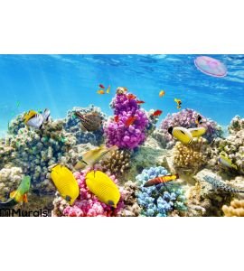 Underwater World Corals Tropical Fish Wall Mural Wall Tapestry tapestries