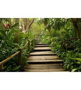 Pathways Jungle Wall Mural Wall Tapestry tapestries