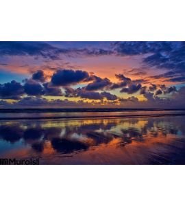 Ocean Sunset Wall Mural Wall Tapestry tapestries