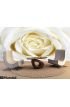 White Rose Wall Mural Wall Tapestry tapestries