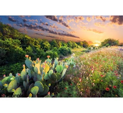 Cactus Wildflowers Sunset Wall Mural Wall Tapestry tapestries