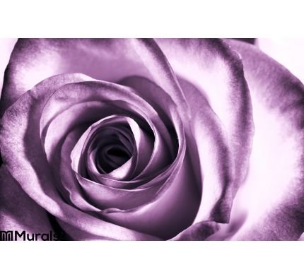 Purple Rose Wall Mural Wall Tapestry tapestries