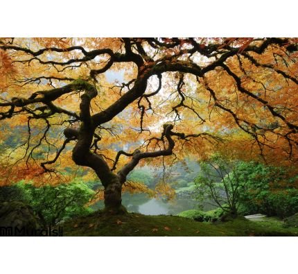 Autumn Maple Wall Mural Wall Tapestry tapestries