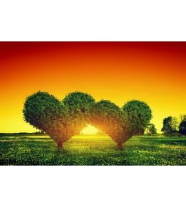 Heart Shape Trees Couple Grass Sunset Love Wall Mural
