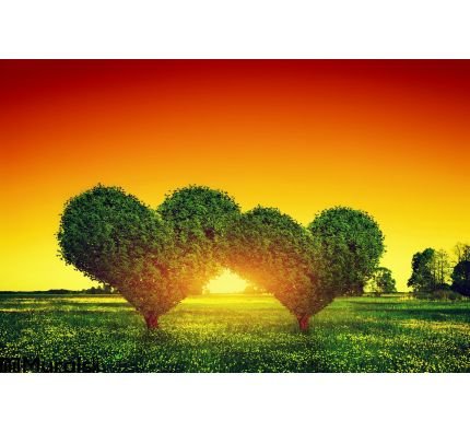 Heart Shape Trees Couple Grass Sunset Love Wall Mural Wall Tapestry tapestries